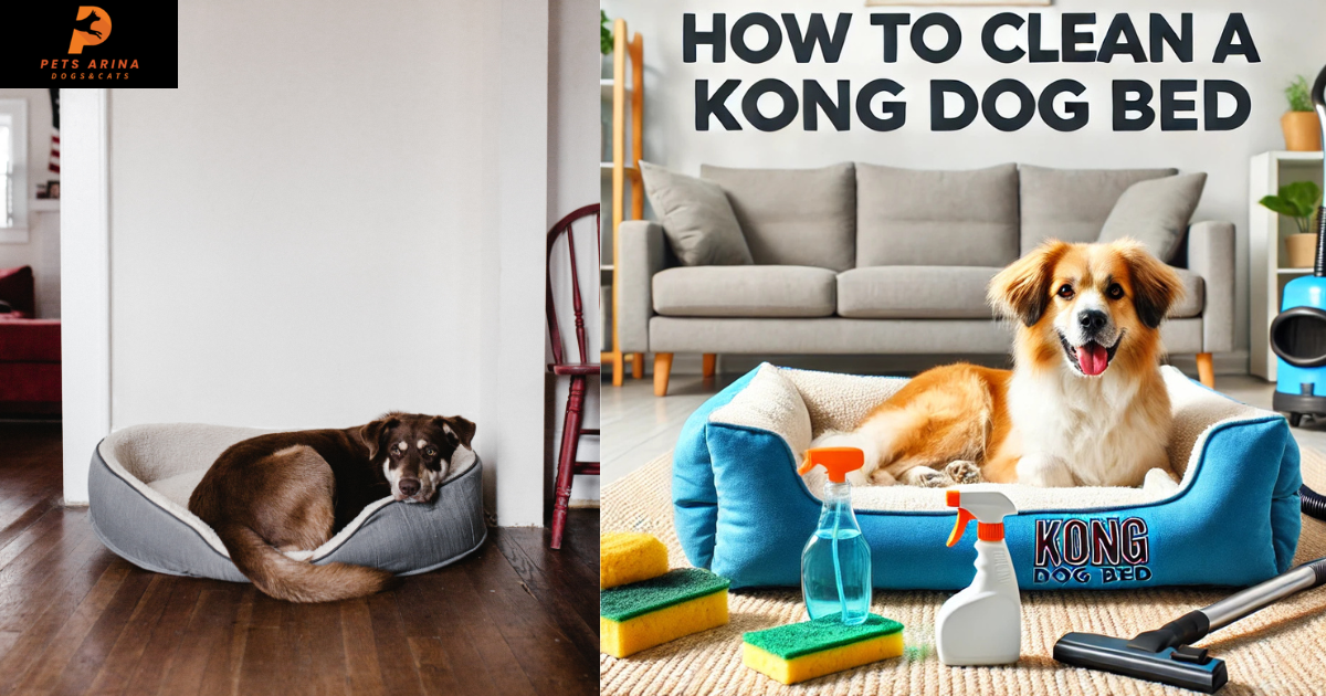 how to clean a kong dog bed